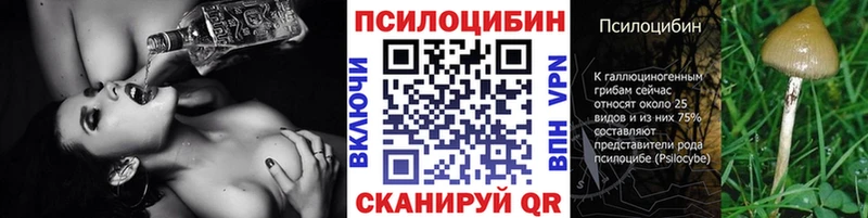 наркотики  Кунгур  Псилоцибиновые грибы мухоморы 